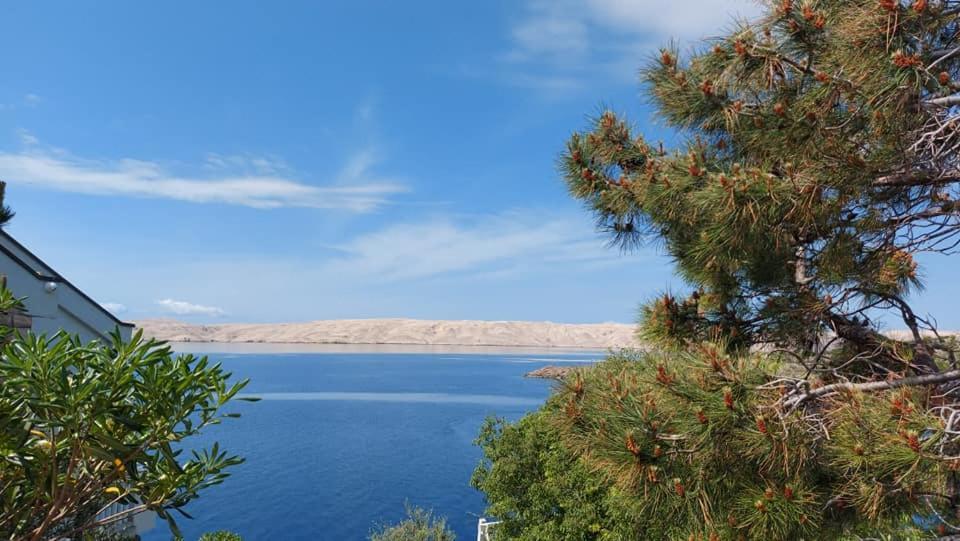 Apartman Zahira كارلوباغ المظهر الخارجي الصورة