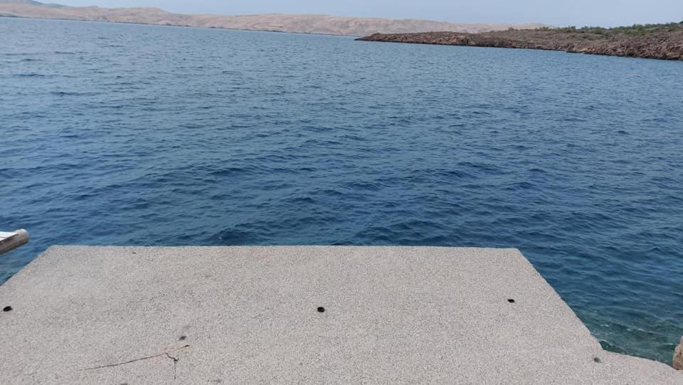 Apartman Zahira كارلوباغ المظهر الخارجي الصورة